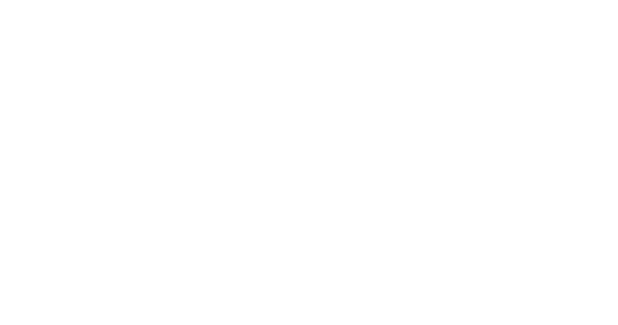light logo